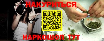 сатива Берёзовский
