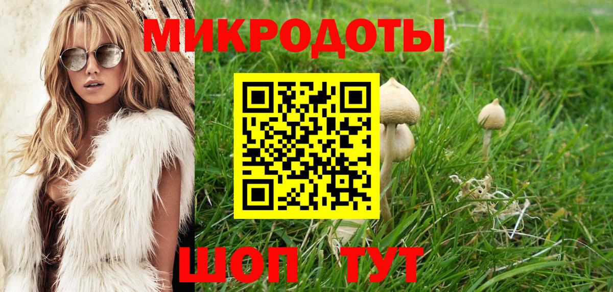 Псилоцибиновые грибы ЛСД Воронеж